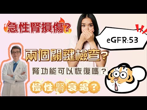 【EP4】我的腎功能可以恢復嗎？急性腎損傷？還是慢性腎衰竭？兩個關鍵檢查可以判斷#慢性腎衰竭 ＃急性腎損傷＃腎臟超音波＃貧血