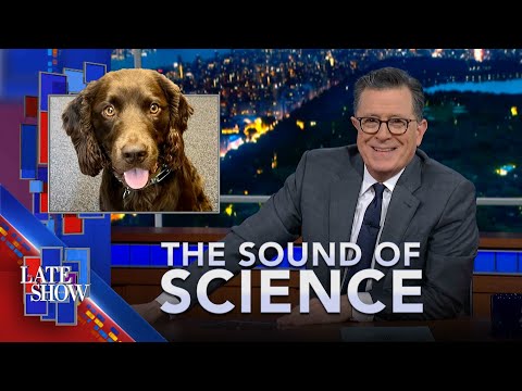 The Sound Of Science: A Dog's Real Age | Your Couch Might Kill You | Perfecting Plant-Based Eggs