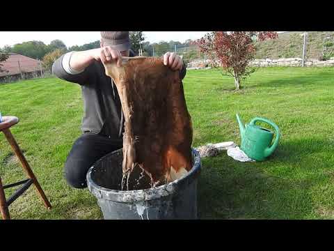 Jagd/ Reh Waschbär Fuchs Felle selber Gerben/ Haltbar machen mit Kalialaun