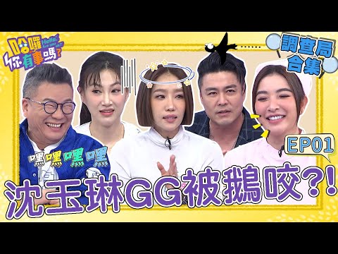 《哈囉！調查局》沈玉琳兒時ＧＧ被鵝咬！長輩用「1偏方」竟秒痊癒？把芽芽「內衣當口罩戴」荒謬發言引全場撻伐！沈玉琳 許維恩 民調大對決︱#哈囉你有事嗎