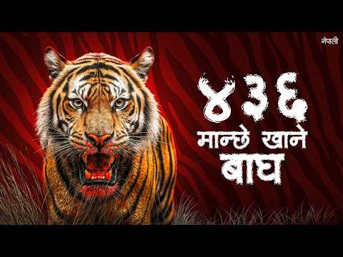 The Hunt for World's Deadliest Man-Eater in Nepal