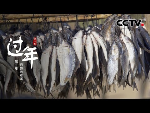 《过年》01 历添新岁月 福满旧山河 你记忆中的年是什么“味道”的?——自然的积蓄【CCTV纪录】