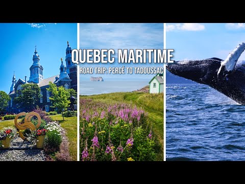 Quebec Maritime Road Trip: Percé to Tadoussac | Whale watching, Gannet Colony, and the St. Lawrence