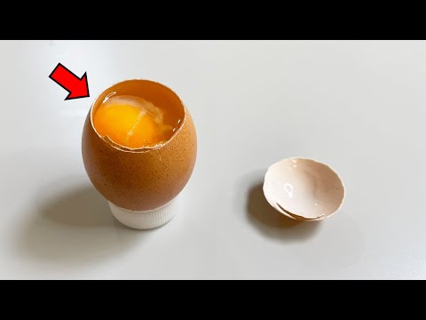Things You Didn't See in Eggs - Egg Anatomy
