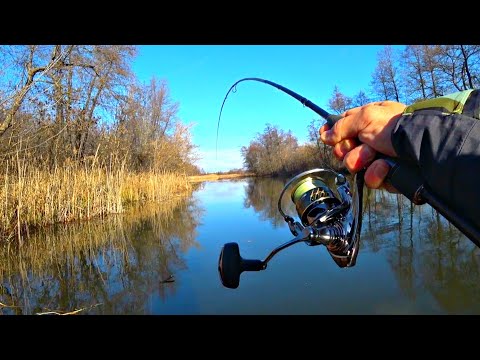 ПРОБРАЛСЯ ЧЕРЕЗ РУЧЕЙ И НАЛОВИЛ. Рыбалка в живописном месте осенью. Рыбалка на спиннинг