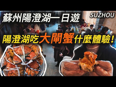 A Perfect Day Trip: From Shanghai to Yangcheng Lake for Crabs & a European-Style Outlet Town【CC】