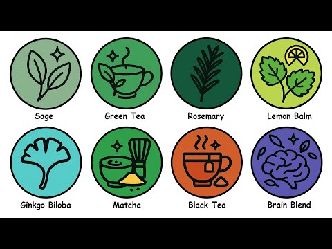 Every Brain Boosting Tea Explained In 7 Minutes