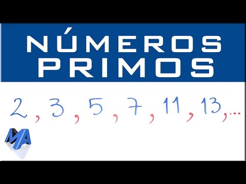 Números primos