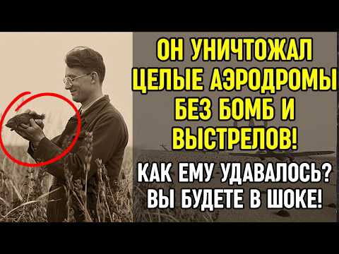 Как ОДИН советский биолог уничтожил немецкие аэродромы БЕЗ ЕДИНОЙ БОМБЫ!