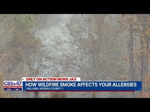 Wildfire smoke raises air quality and health concerns across Northeast Florida