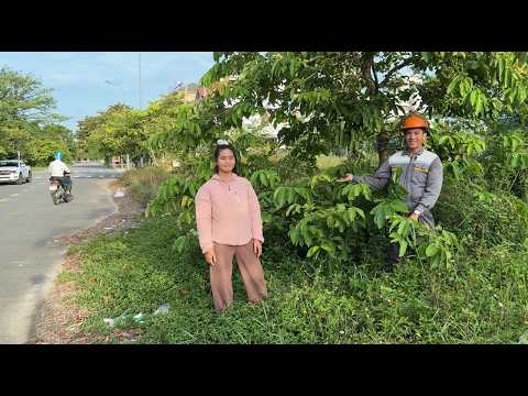 Restoring 300 meters of sidewalk covered by grass for more than a decade in Hue city