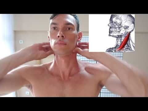NECK SELF-MASSAGE + EXERCISES