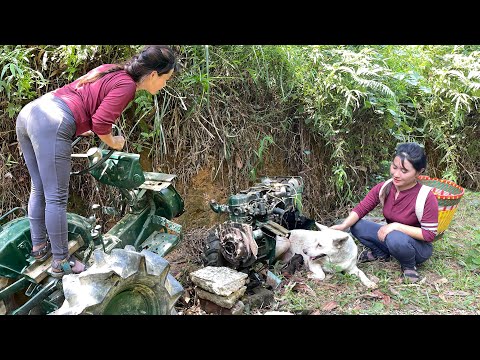 Girl finds abandoned tractor in woods and is surprised when dog finds it