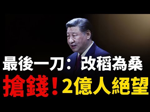 【國庫空虛】習近平「強製社保」丨改稻為桑丨效仿嘉靖丨最後一刀丨開始搶錢丨養老金黑洞丨財政絕望丨中國社保丨國庫空虛丨土地財政丨房地產泡沫丨靈活就業