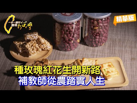 【雲林】職業不分貴賤! 從拿筆到荷鋤走出踏實人生路 補教師回鄉種花生蒜頭兼復興沒落獅陣傳承文化 ∣一步一腳印【回鄉耕耘踏實好出路】20251102