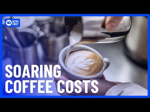 Australian Coffee Costs To Reach $12 As International Demand Grows For Beans | 10 News First