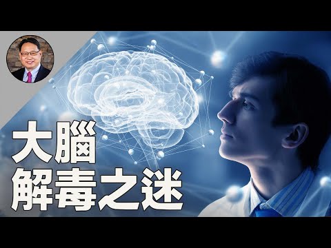 別讓大腦成「垃圾場」!這樣做促進大腦解毒!