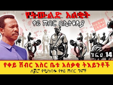 የቀይ ሽብር እስር ቤቱ አሰቃቂ ትእይንቶች||የትውልድ እልቂት!||ቀይ ሽብር በኢትዮጵያ||ሜዳ ትረካ||ክፍል 14||ጸሀፊ፡ ባቢሌ ቶላ||ትርጉም፡ አውግቸው ተረፈ