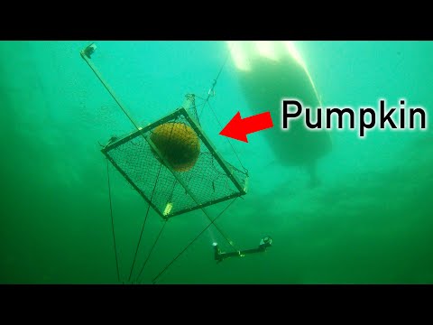 Pumpkin Implosion at 600ft Deep???