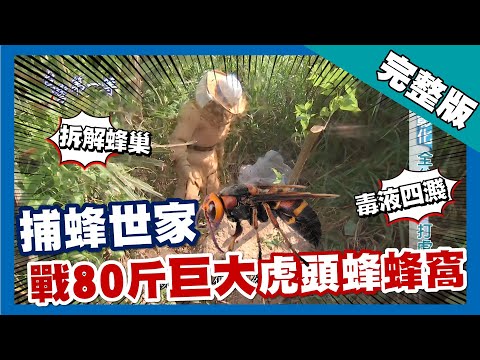 台灣第一等【捕蜂英雄全副武裝 大戰80斤巨大虎頭蜂蜂窩】彰化_完整版