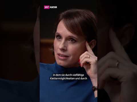 Jane Goodall, sind Schimpansen in Zoos in Ordnung? | Sternstunde Philosophie | #Shorts | SRF Kultur