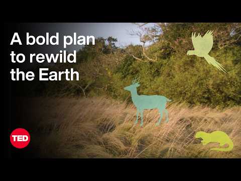 A Bold Plan to Rewild the Earth — at Massive Scale | Kristine McDivitt Tompkins | TED