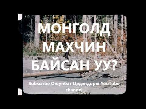 Монголд махчин байсан уу? /Болсон явдал /Сонин хачин /Bolson yavdal
