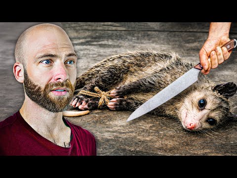 Eating Exotic Opossum Meat in Grenada!!