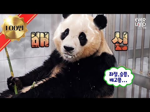 The special way to take medicine to Panda (LoL)