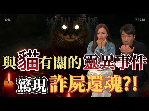 靈異直播#238 | 與貓有關的靈異事件，驚現詐屍還魂？｜恐怖2.0｜真實靈異故事｜十點開播!｜梁思浩｜羅千揉｜世界鬼故事｜通靈之王｜超能力學院