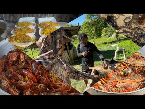 Camping at Spanish Bridge 🇯🇲 | Cooking Lobster, Crayfish & Fish by the River!”