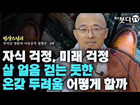 자식 걱정 미래 걱정 살얼음 걷는 듯한 온갖 두려움 어떻게 할까 법상스님의 행복한 마음공부 부처님과 말씀과 마음공부 통합본2회 인생 말씀