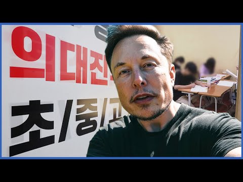 한국 의대열풍🔥을 본 '세계 1위 부자'의 반응?! | 일론 머스크