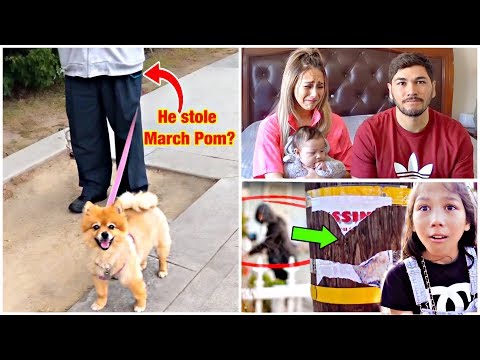 WE BELIEVE SOMEONE STOLE OUR PUPPY MARCH POM!! *Part 2*