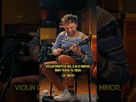 Chris Thile playing Bach #bach #mandolin #shorts