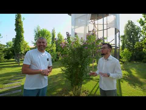 Uzbekistondagi haqiqiy Eko-Villaga sayohat