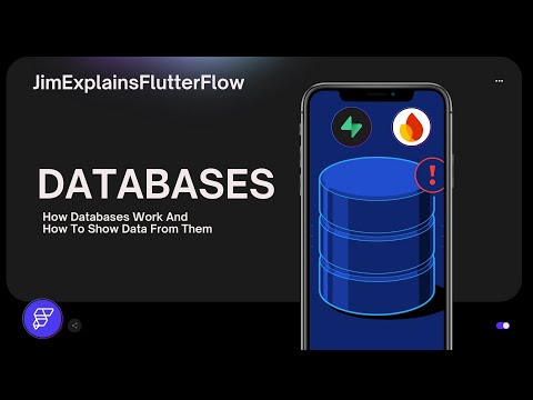 FlutterFlow - How To Use Databases