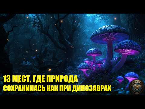 13 УДИВИТЕЛЬНЫХ МЕСТ, Которые Не Изменились за 100 Млн Лет!