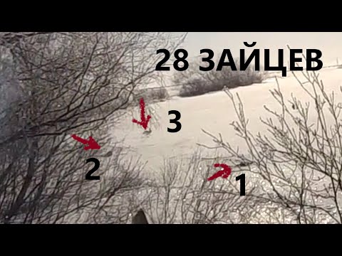 HARE HUNTING, CARTRIDGE EXPLODED, DID NOT HAVE TIME TO RELOAD