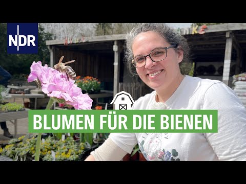 Blumen für die Bienen | Die Nordreportage | NDR