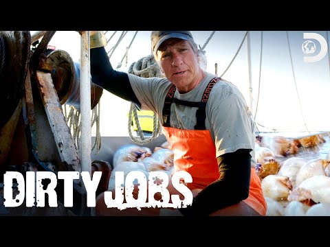 Mike Rowe Is Up to His Knees in Jellyfish | Dirty Jobs