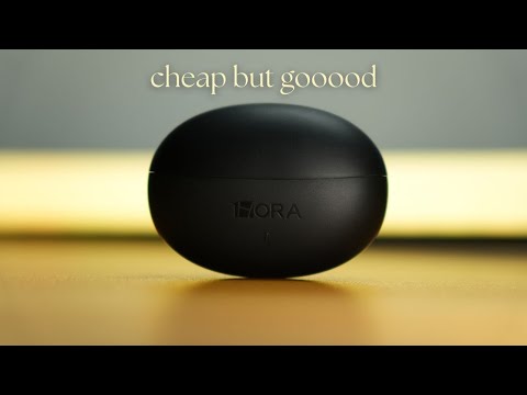 I Tried This Budget 1HORA Earbuds AUT205 for 30 Days - It Doesn't Suck!?