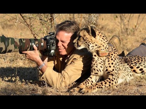 When Animals Caught Getting Friendly with Photographers 🤪 Funny Wildlife Videos 2025