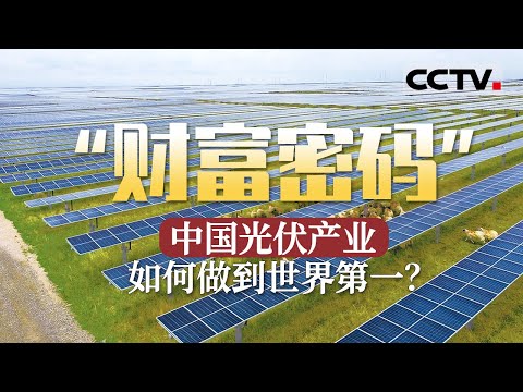 靠补贴干到世界第一！中国光伏是如何发展的？不仅能发电 还能养鱼养羊【CCTV纪录】