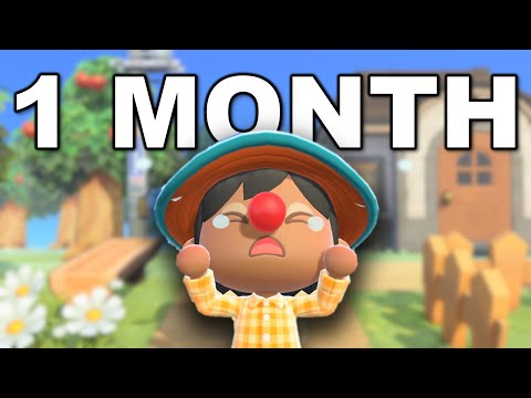The first month on my new Animal Crossing Island