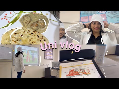 Med school vlog 💌⭐️: first snow of the season ❄️, attending classes, making Biriyani 🤤 🍗 