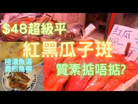 荃灣楊屋道,遇見超平紅黑瓜子😍真係煲湯都抵🤣一魚2味🤤再買左條牛屎鱲清蒸勁好食~fish cutting~香港海鮮~社長遊街市HongKong Seafood Market