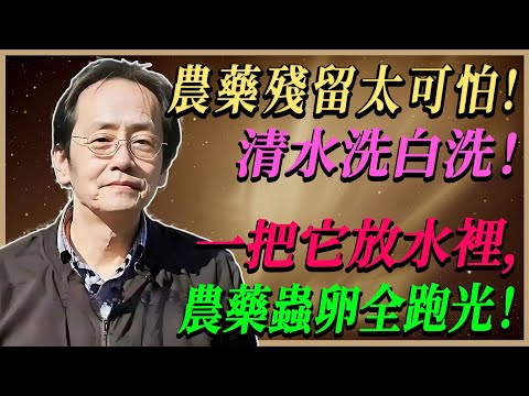 倪海廈 : 果蔬農藥殘留太嚴重！只用清水洗根本沒用，教你一招清除農藥蟲卵！