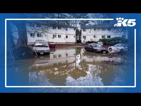 Skagit County cleanup continues as more rain is set to raise Skagit River again
