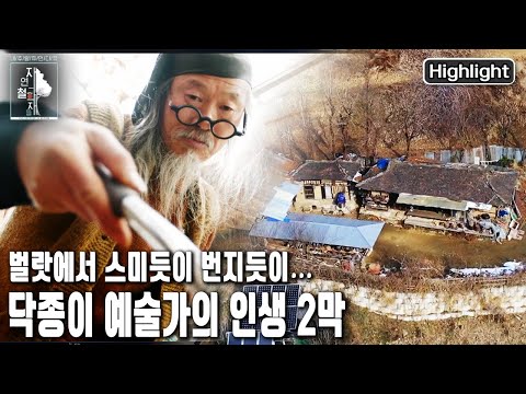 오지마을 벌랏에서 자연에 흠뻑 스며들어 한 몸으로 살아가는 닥종이 예술가 | 자연의 철학자들 45부 벌랏의 햇살처럼 바람처럼 (KBS 20230210 방송)